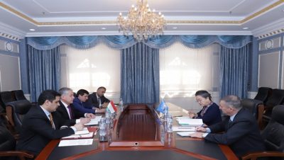 Meeting of the Minister of Foreign Affairs with the Executive Secretary of the UN Economic and Social Commission for Asia and the Pacific