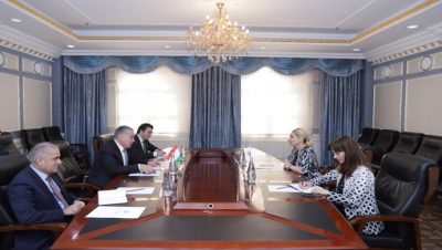 Meeting of the Minister of Foreign Affairs with the Acting Head of the OSCE Program Office in Dushanbe