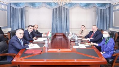 Meeting of Deputy Minister of Foreign Affairs with the Head of Mission of the International Committee of Red Cross (ICRC) in Tajikistan